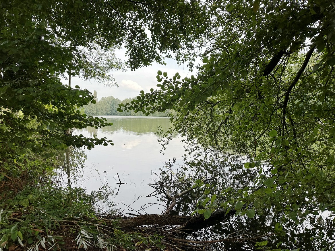 Angeln in Dorsten